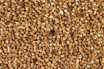 natural ecological grown buckwheat, close up