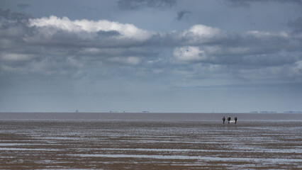Fototapeta na wymiar Three fishermen walking out into the North Sea mudflats to go plaice fishing