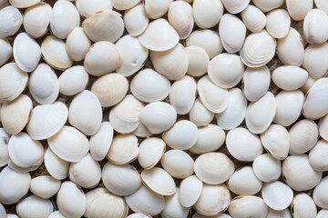 White shellfish pattern. Generate Ai