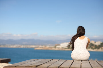 Back view of a woman sitting contemplating ocean