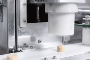 Sweets candy on industry conveyor. Modern production line of factory chocolate