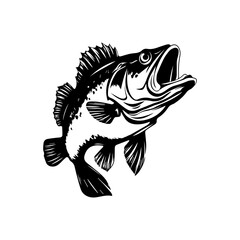 Bass fish, fish silhouette, isolated on white background. Vector illustration.