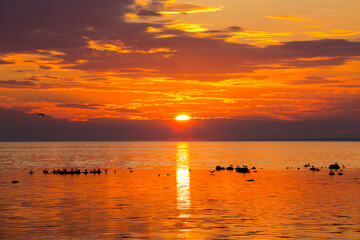 Sunset in sea