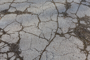 surface of grey cracked asphalt texture