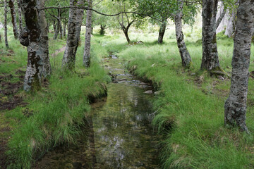 River Zezere in Serra da Estrela Natural Park in Portugal
