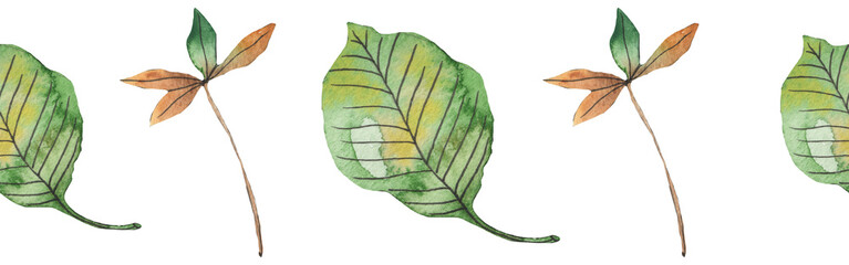 Autumn maple leaves, orange fall leaf, thanksgiving design elements in orange red and yellow autumn colors, seasonal set of clip art or watercolor design elements for border or background