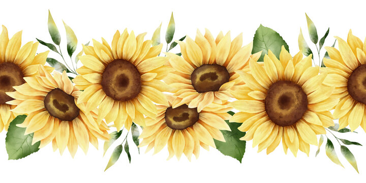Watercolor hand painted sunflower seamless border. Fall loral horizontal pattern. Yellow flowers, leaves and plants. Autumn arrangement. Botanical illustration.