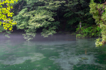 栃木県佐野市　翡翠のような出流原弁天池