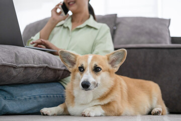 Woman finds joy in productivity and pet companionship.