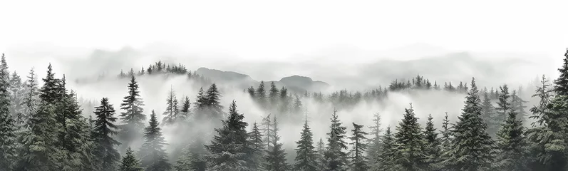 Papier Peint photo Lavable Forêt dans le brouillard coniferous forest isolated on a white background panorama, tops of fir trees. Generative AI