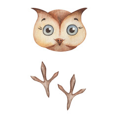 Watercolor illustration. Hand painted brown owl bird with big blue eyes, lashes and paws. Smiling animal. Cartoon character. World Animal Day. Isolated clip art for textile prints, banners, posters
