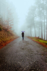 Person with umbrella walking with an umbrella along a road on a foggy autumn day.