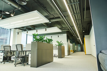 spacious open space office with modern furniture, office chairs, work desks, green natural plants...