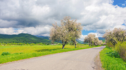 Fototapeta na wymiar beauty of spring is captured in the scenic backdrop of the countryside, as the road winds through lush fields and blooming trees. scenery surrounded by the green hills and majestic mountains