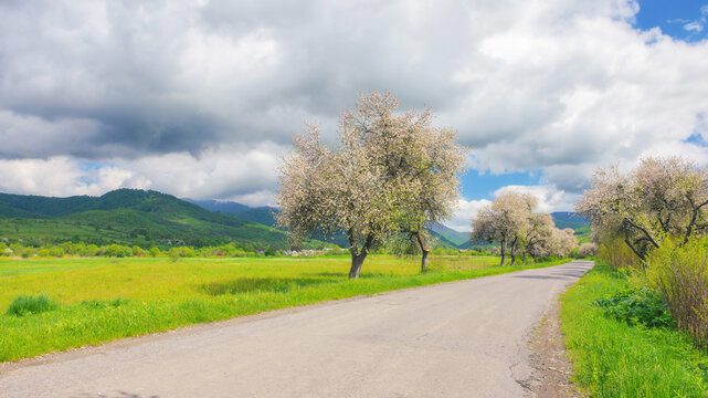 beauty of spring is captured in the scenic backdrop of the countryside, as the road winds through lush fields and blooming trees. scenery surrounded by the green hills and majestic mountains