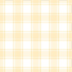 Seamless plaid pattern. Vector illustration. Seamless pattern with abstract stripes. Vector illustration for your design