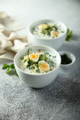 Traditional homemade cold soup with yogurt and herbs