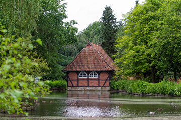 Obraz premium Pond and gardening in Bird Park Walsrode bird park behind the tree branches