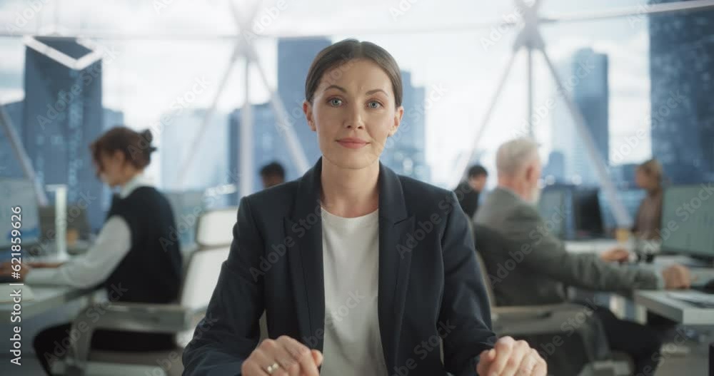 Poster point of view from camera with experienced caucasian businesswoman talking with clients on video cal