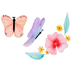 Colorful butterfly and flowers watercolor, isolated on white background. 