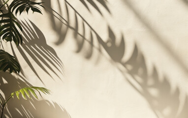Tropical Oasis: 3D Render of Soft Banana Leaf Shadow on Cream White Wall