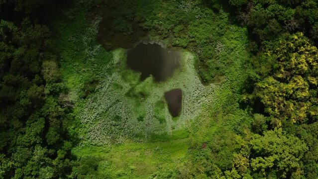 Trou aux Cerfs, dormant volcano, Curepipe, Mauritius - aerial view of the volcano and crater