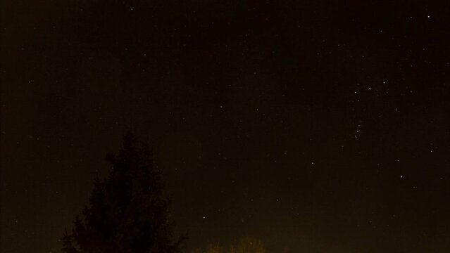 Time-lapse photography, starry sky, tree, Lueneburg, Lower Saxony, Germany, Europe