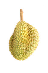 durian fruit on white background Durian is known as the king of fruits with a unique aroma, The skin is hard with thorns, the flesh is yellow. And has a sweet, oily, delicious, soft and smooth taste. 
