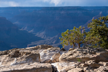 Grand Canyon horisons