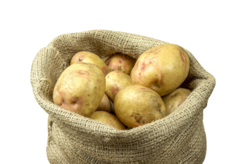 a sack of potatoes isolated from the background