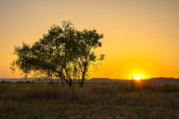 Fototapeta na wymiar Idyllic sunset in the countryside