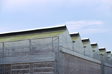 Exterior view of a commercial vertical farm in Singapore. To maximise land for food production, vegetables are grown in A-shaped towers. Green technologies