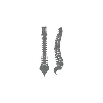 recommend clip art: human bones