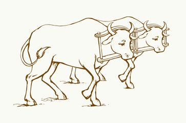 Vector drawing. Old wooden yoke on the cow