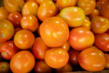 Ripe tomatoes on the counter in the supermarket. Fresh vegetables.