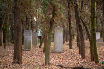 Temple and Cemetery of Confucius and the Kong Family in Qufu, China