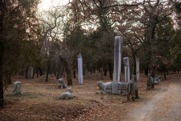 A graveyard cemetery for Confucius in the city of Qufu China