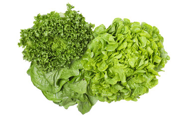 PNG, fresh summer food - lettuce isolated on white background