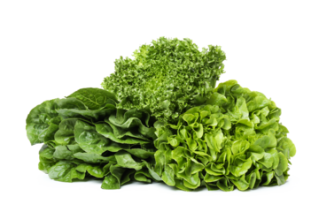 PNG, fresh summer food - lettuce isolated on white background