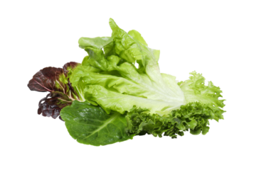 PNG, fresh summer food - lettuce isolated on white background