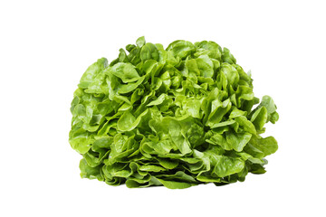 PNG, fresh summer food - lettuce isolated on white background
