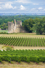 Fototapeta na wymiar Budos castle (Chateau de Budos) in Sauternes wine region, Gironde departement, Aquitaine, France
