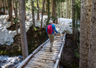 Fototapeta premium Hike in the forest