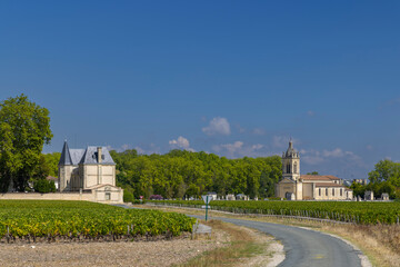 Fototapeta premium Vineyards near Margaux (Chateau Margaux), Bordeaux, Aquitaine, France