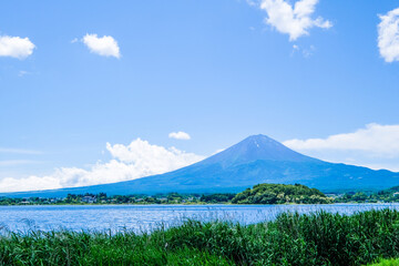山梨県河口湖とラベンダー畑と富士山