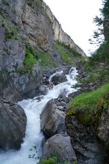 Mountain river going through a forest