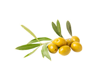 Delicious green olives isolated on white background. Olive and olive tree branches on a white...
