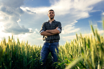 Naklejka na ściany i meble Portrait of young farmer standing in a green wheat field at sunset.