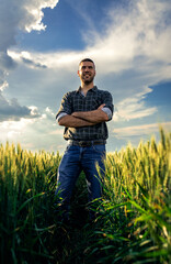 Portrait of young farmer standing in a green wheat field at sunset.