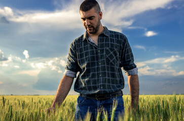 Naklejka na ściany i meble Portrait of young farmer walking in a green wheat field at sunset.